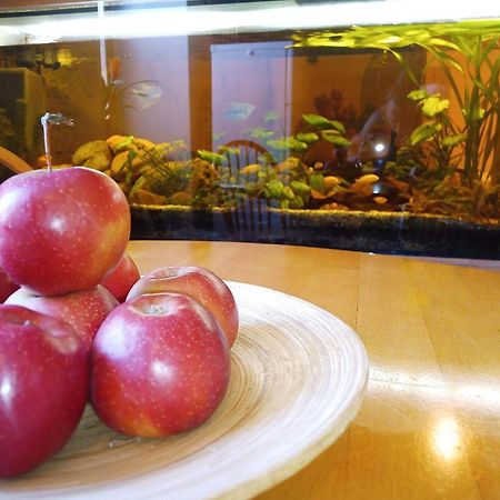 Penzion Avalon Valtice Hotel ภายนอก รูปภาพ
